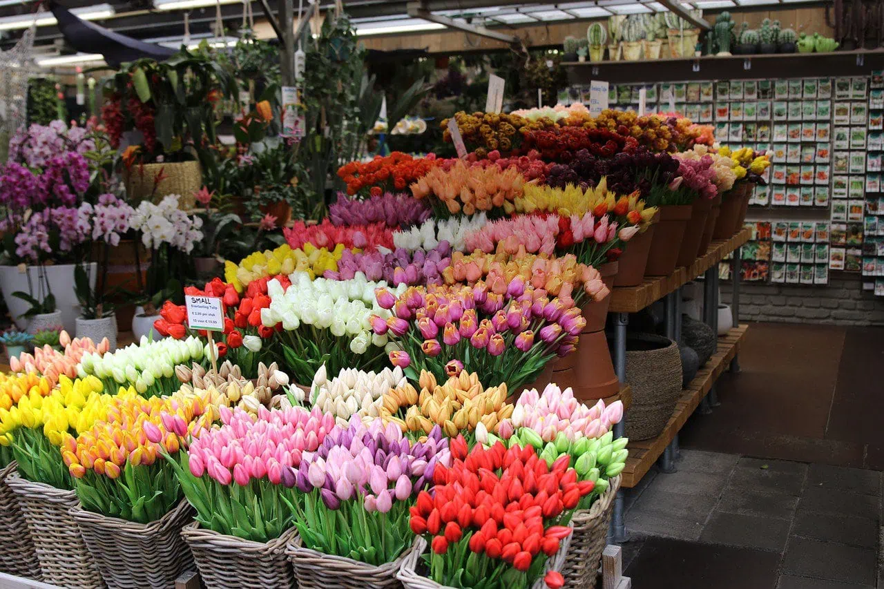 A faire gratuitement à Amsterdam : le marché aux fleurs flottant !
